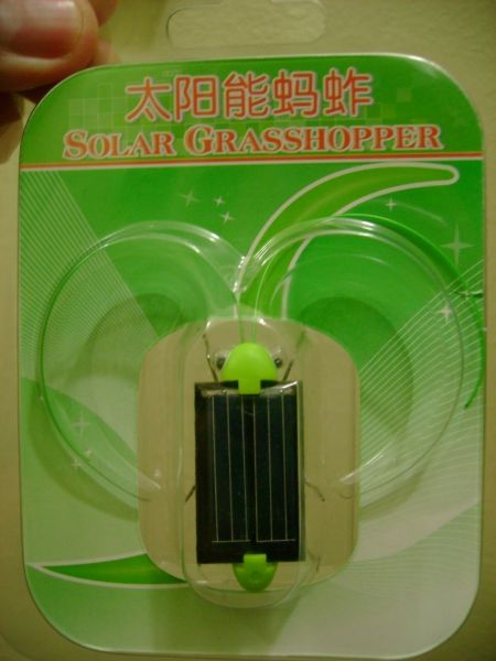 Grilo Movido A Energia Solar Sem Pilhas